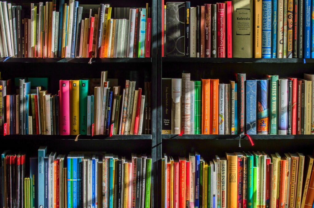 Vibrant collection of books on shelves for reading, research, and education.